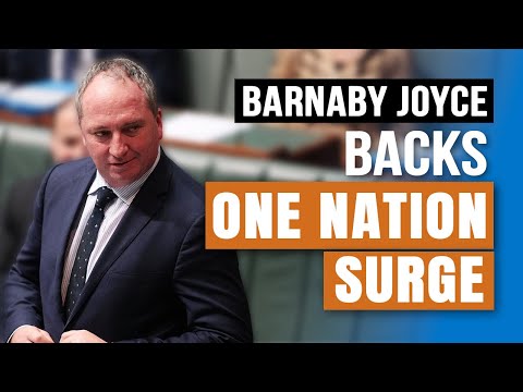 Barnaby Joyce Backs One Nation Surge