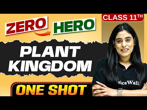 Plant Kingdom | Full Chapter in ONE SHOT | Chapter 3 | Class 11 Biology 🔥