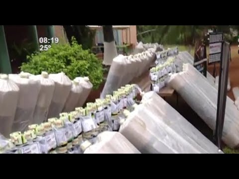 Entregan kits agrícolas y plantines en J. Augusto Saldívar