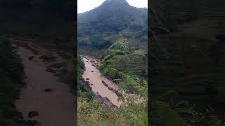 Download lagu lagu Thailand ewok eeewok mp3 Download lagu lagu Thailand ewok eeewok mp3