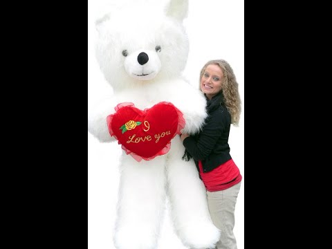 download lagu mp3 mp4 Giant I Love You Teddy Bear, download lagu Giant I Love You Teddy Bear gratis, unduh video klip Giant I Love You Teddy Bear