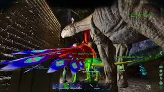 Cave adventures with Chopped