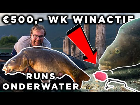 Lots of RUNS with Sjors on carp fishing!