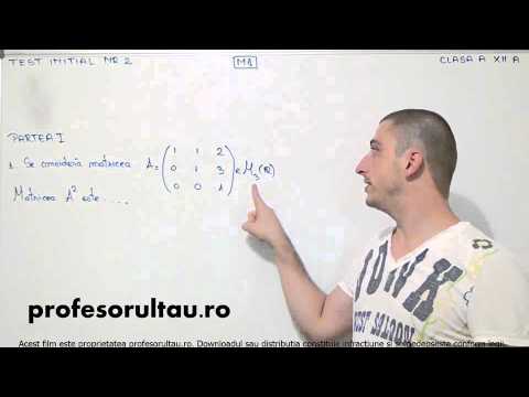 Clasa a 12-a - Test initial NR. 2 - profesorultau.ro