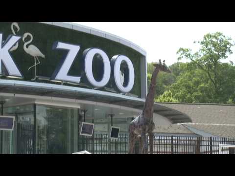 Essex County Open House