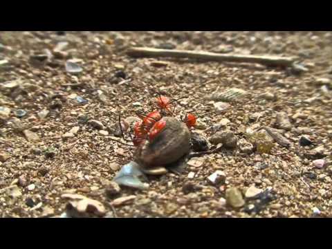 UMEK vs Christian Cambas - On The Edge [1605-058]