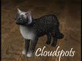 How to Act Like a Thunderclan Warrior Cat
