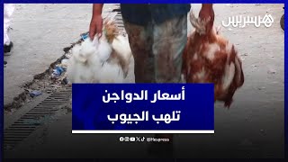 أسعار الدواجن تلهب الجيوب.. مواطنون يستنكرون الغلاء وباعة يعددون الأسباب thumbnail