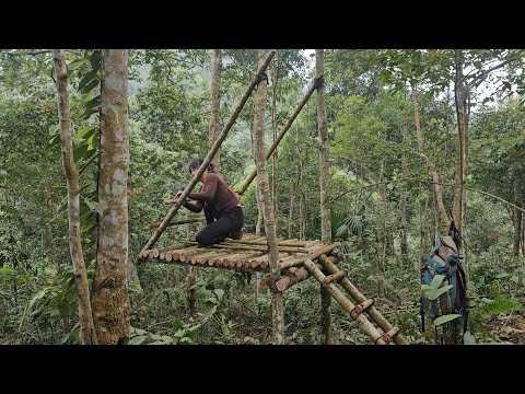 Building a Wilderness Shelter & Solo Survival