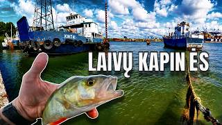 Kas Slepiasi Laivų KAPINĖSE ?