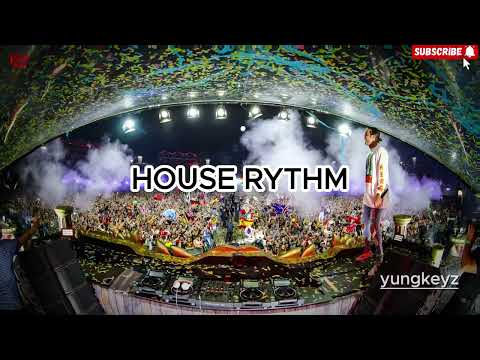 DAVID GUETTA X ASAKE X CHRIS BROWN  X JUSTIN TIMBERLAKE TYPE BEAT 2025 - 'HOUSE BEAT' (INSTRUMENTAL)