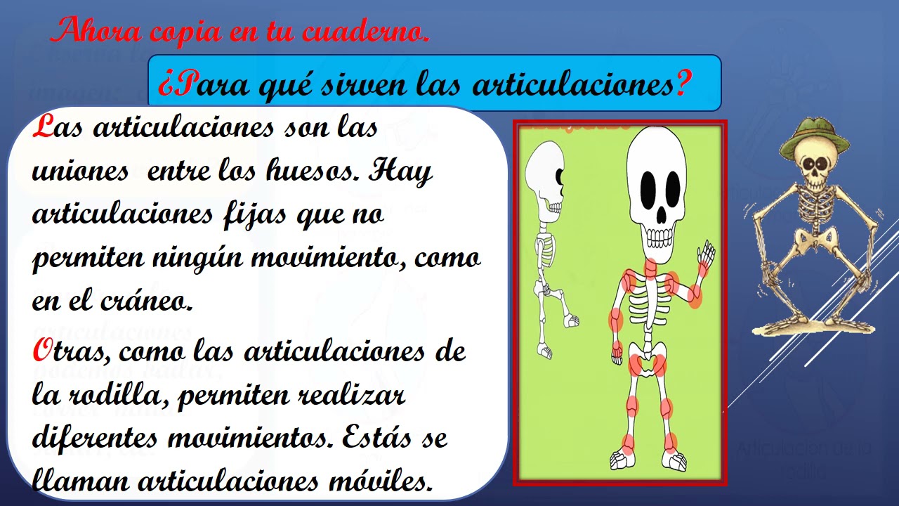 ppt LOS HUESOS Y ARTICULACIONES