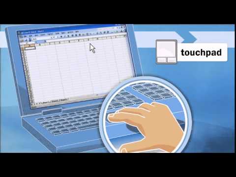 What are the components of a computer?