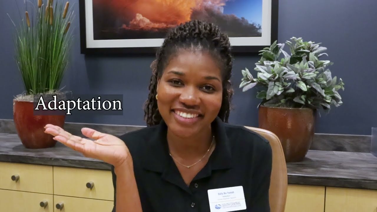 Climate Mitigation versus Climate Adaptation