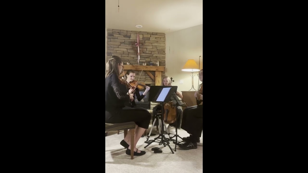 Promotional video thumbnail 1 for The Fiddlin’ Four