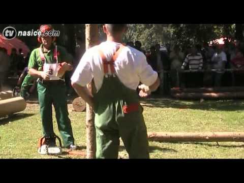 Našice - Dani Slavonske šume