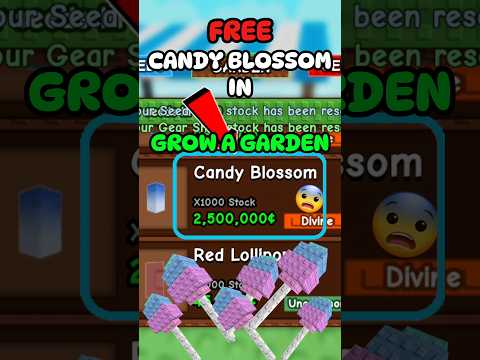 CANDY BLOSSOM IS BACK IN GROW A GARDEN #roblox #growagarden #robloxshorts #shorts
