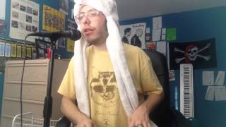 Panda Bear Tropic of Cancer OMNICHORD COVER