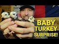 HUGE Surprise In The Barn