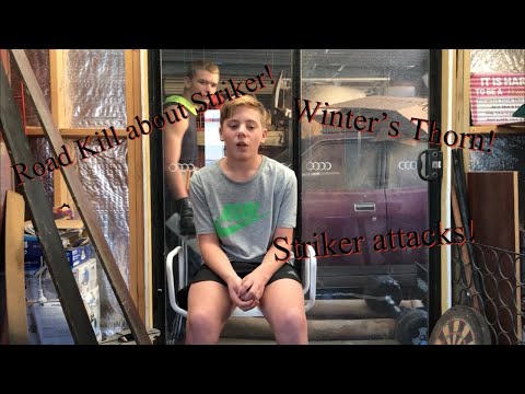 Road Kill reply’s to Striker’s challenge! Striker gets revenge?