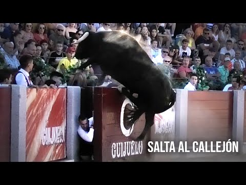 Guijuelo 2023 El Toro Salta al Callejón