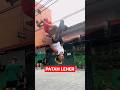 PATAH LEHER PECAH PALA LU Shorts Short Viral Youtubeshorts Trending