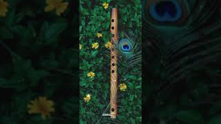 Download lagu Sisirakala  Flute Whatspp Status mp3 Download lagu Sisirakala  Flute Whatspp Status mp3