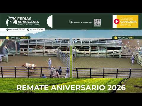 Remate Aniversario 2026 | Ferias Araucanía | 20 de agosto | Recinto Freire