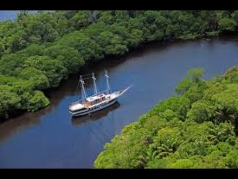 GLOBO REPORTER - AMAZONIA SELVAGEM - HQ - 2010