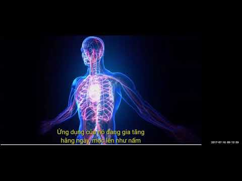 2017 07 16 AM Public Teaching in Vietnamese - Buổi giảng công cộng bằng tiếng Việt