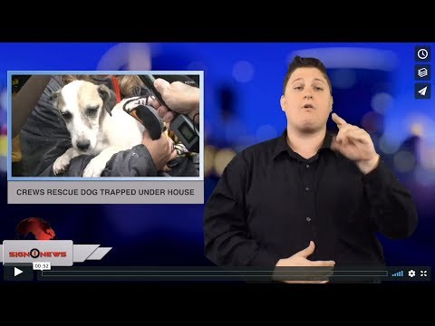 Crews rescue dog trapped under house (ASL 8.22.18)