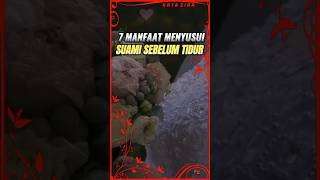 Download lagu The benefits of a wife giving milk to her husband before going to sleep #shorts mp3