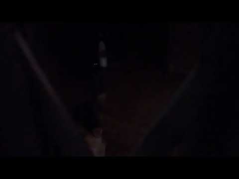 Dog got locked in a bank was restless wishing him the best