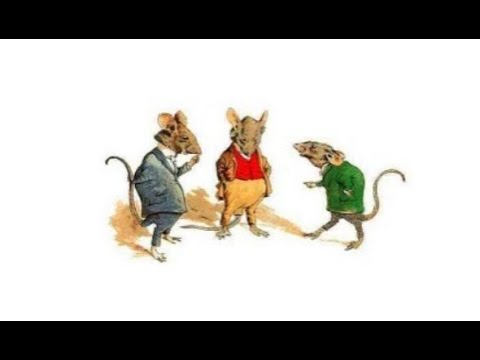 3 Nice Mice