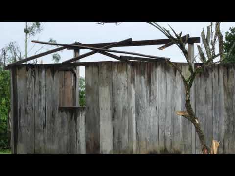 Video: Fuerte temporal de viento huracanado y lluvia devastó la Comunidad de Los Naranjos y Río Blanquito