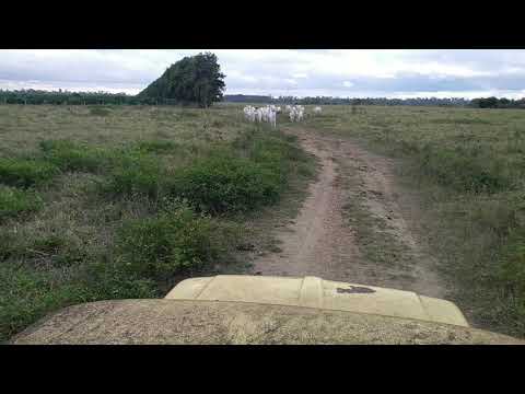 Today In Jacupemba Aracruz 01 de Agosto de 2018.