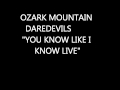 Ozark Mountain Daredevils "you know like i know" LIVE