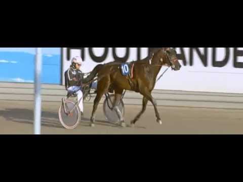 Flevofarm Cup Pays Bas 2014_Partout Simoni_Dominik Locqueneux