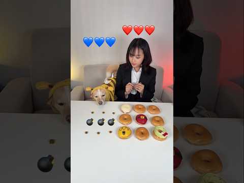 Boom Challenge with my dog 🐕