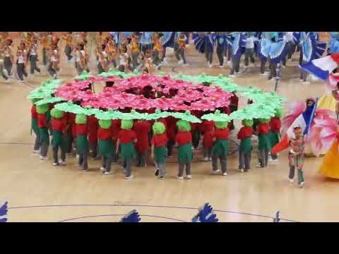 PSD Grade3 Field Demo 2023, Primary Level Champion!