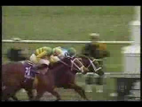 Flanders Breeders Cup Juvenile Fillies 94' +overview
