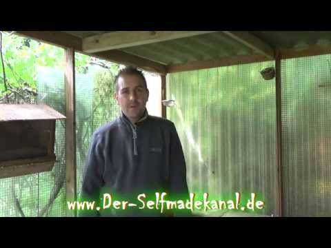 Hühnerfutter.... Aber welches?