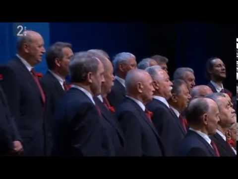 Partizanski pevski zbor - Pesem XIV divizije