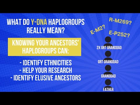 What is a Y-DNA haplogroup? Use yours to identify ethnicities and assist your research.