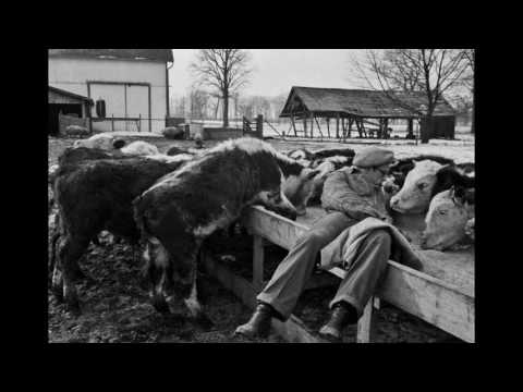 Images of James Dean by Dennis Stock