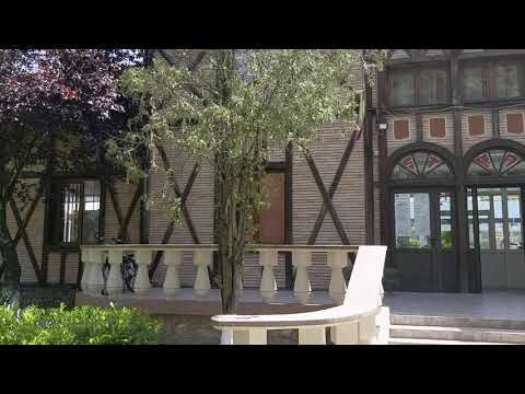 Strand Apollo Baile Felix