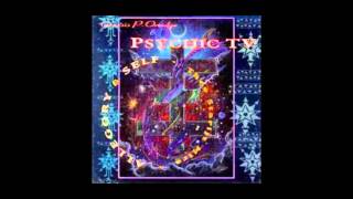 Genesis P. Orridge &amp; Psychic TV ‎– Allegory &amp; Self - Thee Starlit Mire - Discopravity (Fish Mix)
