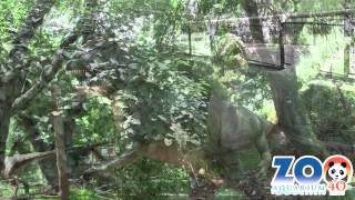 Últimos días de la Exposición de Dinosaurios | Zoo Madrid