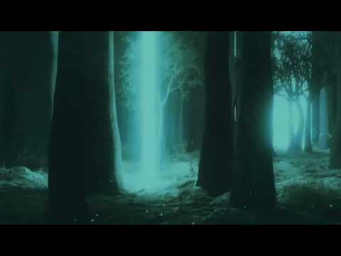 Hardwell - Flatline Vs Leave The World Behind (Te Jack mashup)