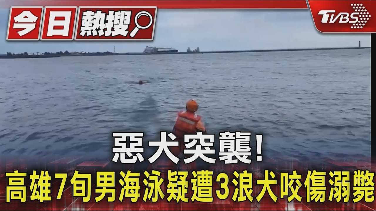 日常變死劫！76歲翁海中遭「3狗攻擊」　當地人：曾咬斷耳朵